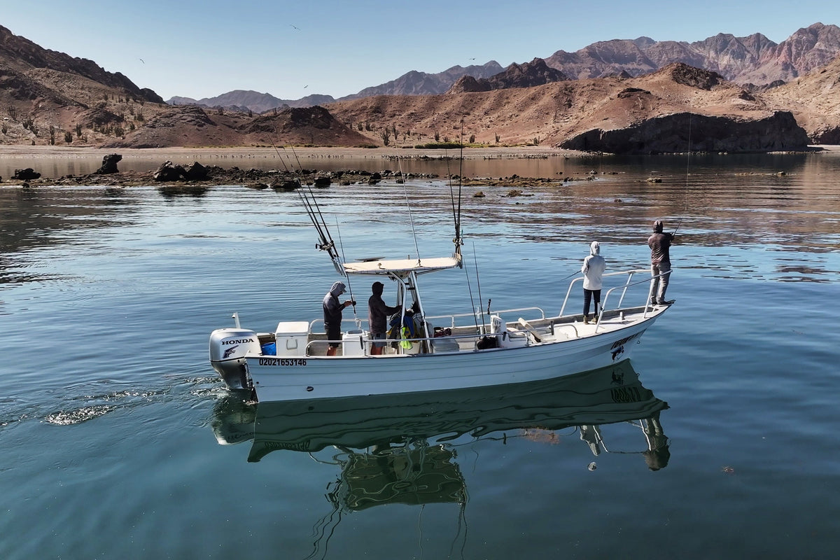 Remote coastal shore angling at sunrise