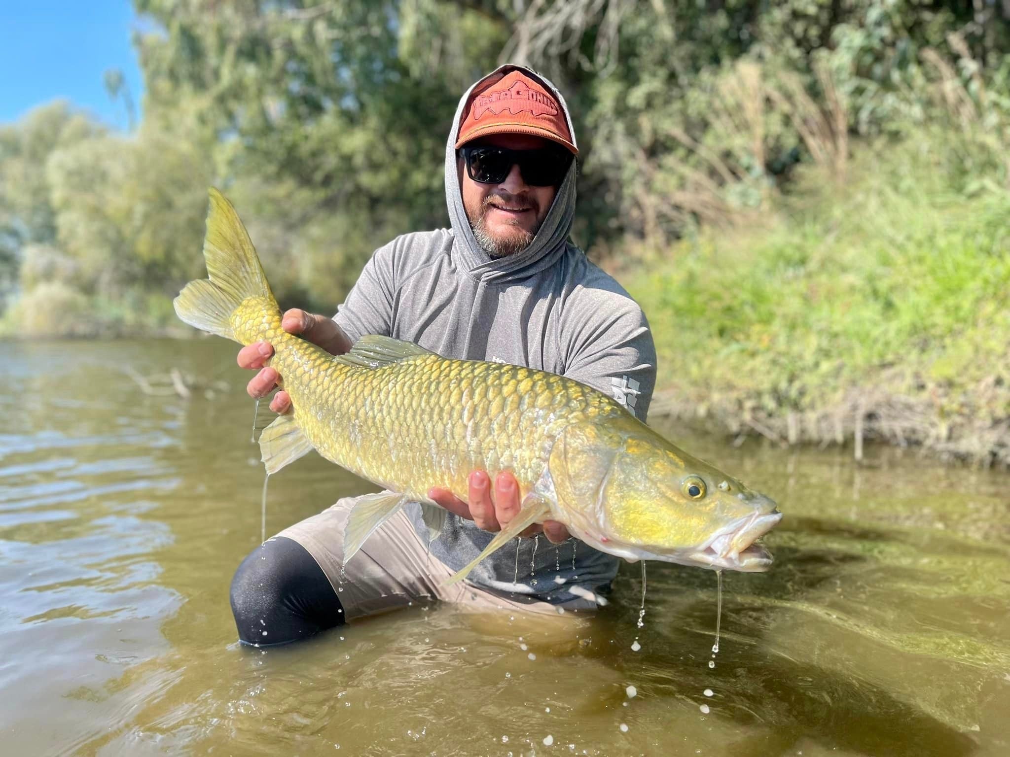 Vaal River Yellowfish: A Beginner's 2026 Fly-Fishing Guide