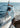 Pelagic T-Shirts collection cover