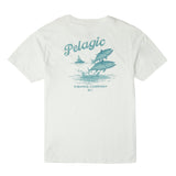 Pelagic Prem Tee - Jumpers - BONE (1)