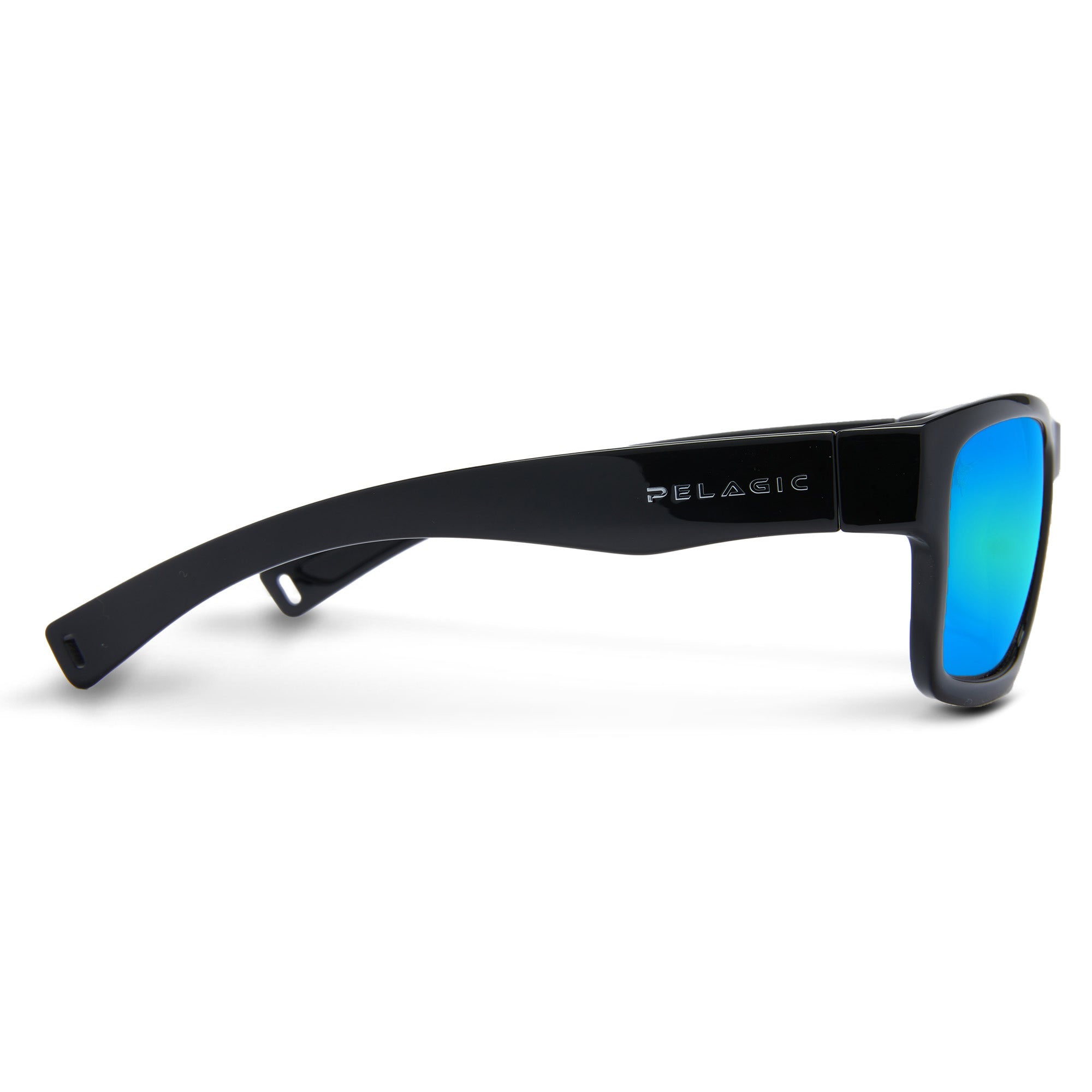 Pelagic Ballyhoo (4)